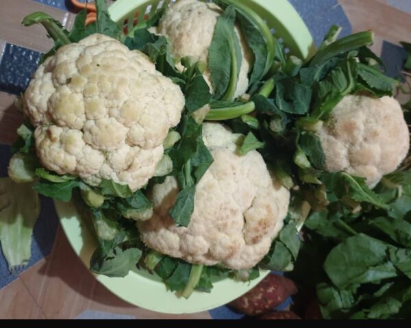 फूल गोभी / cauliflower (500 gm)